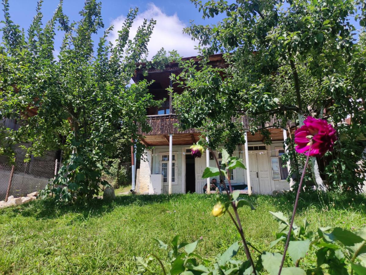 Racha Chogovadze'S Guest House 암브롤라우리 외부 사진